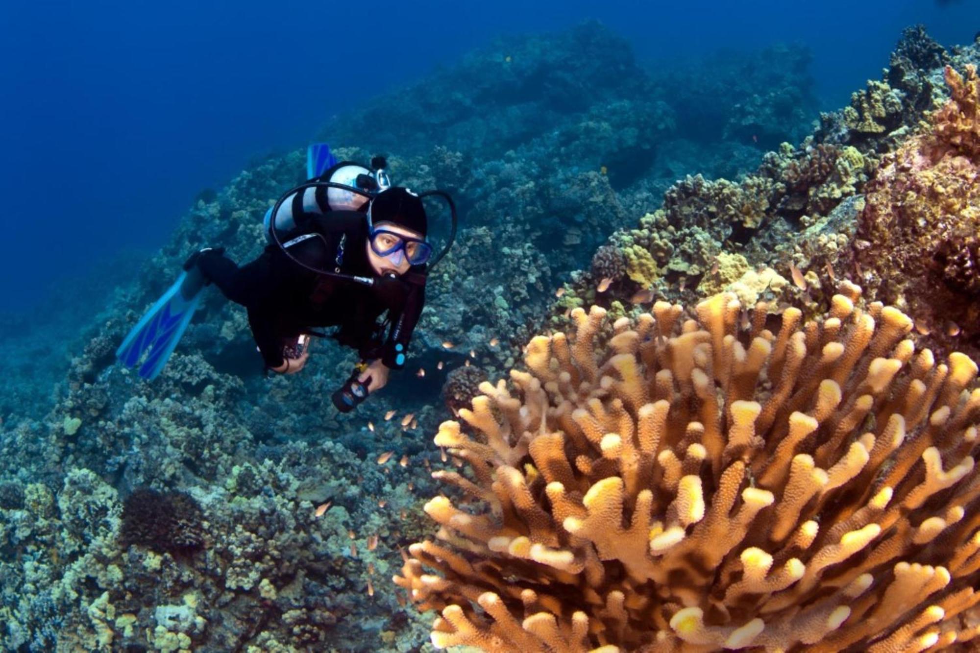 فيلا Honua Kai 322 لاهينا المظهر الخارجي الصورة